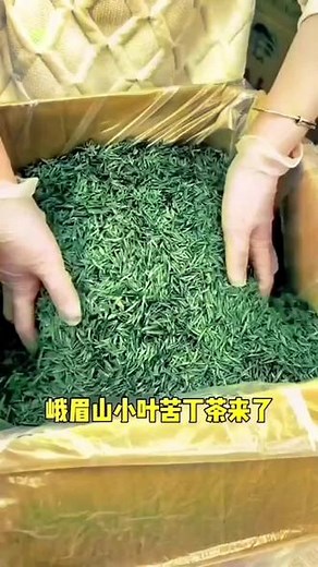 苦丁茶，有哪些功效与作用，你知道吗？#新茶上市 #春日好物 #渝都火狼 #亲测分享 #好物推荐🔥