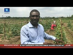 Sustainable Farming Practice In Nigeria | Eco@Africa |