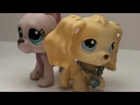 Littlest Pet Shop Series: Hidden || episode #1 caught you￼