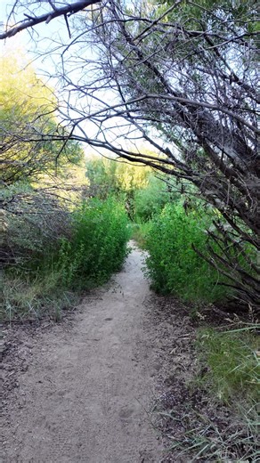 327 reactions · 13 shares | 朗 Hidden Gems of Big Bear Lake 朗 Explore Big Bear Lake early and start scoping out some of the local spots to enjoy the views  Come up early before all the holiday traffic comes in. ☝️✨ Check out our website for more info on the town: ____________________ #VisitBigBear #HolidayWeekend #BigBearLake #MadeInBigBear | Visit Big Bear | Facebook