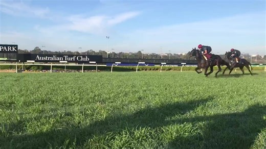 Ballydoyle Stables U S Navy Flag completes his final workout in heavy ground at Canterbury ahead of The TAB Everest⁠ ⁠ 7HorseRacing | Racing NSW