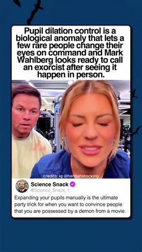 CONTROLLING PUPIL SIZE ON COMMAND