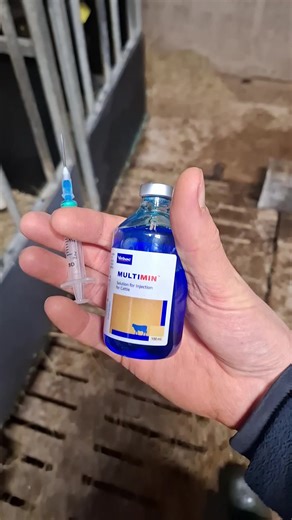 The Joy of Calf Rearing on the Farm