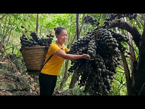 FULL VIDEO: 150 Days Harvest Fruit, Chili, Sapodilla, Peanut go market sell | Cooking, Gardening