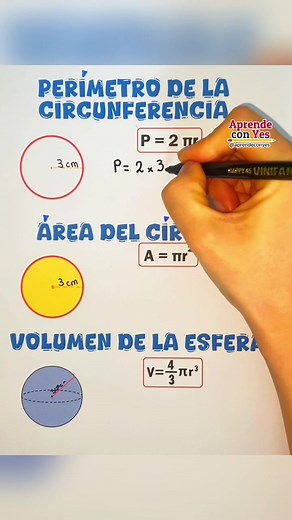 Perímetro y área de la circunferencia: Fórmulas y ejemplos
