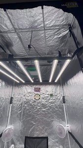 4.2K views · 68 reactions | Mars Hydro FC 4800-EVO, the perfect trio for a thriving garden.Keep growing strong!  | Mars Hydro LED | Facebook