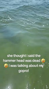 219K views · 542 reactions | #springbreakI was saying my GoPro was dead and she thought I was talking about the hammer head 藍 #sharks #hammerhead #funnyvideos #PCB #spring break | Shell Island Dolphin Tours LLC | Facebook