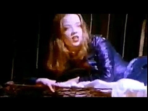 Angelfish - Angelfish