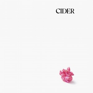 Shop the Cider Best collection now👇✨ *adds everything to cart*🛒 | Cider