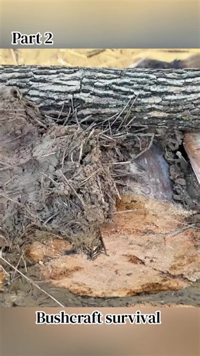 #creatorsearchinsights #bushcraft #survivalskills Building a Cozy Log Cabin with a Huge Clay Fireplace on an Island in the Middle of a Lake Bushcraft #bushcraft #camping