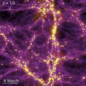 Simulating Everything