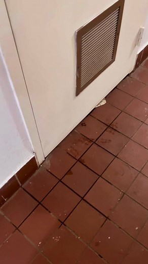 Plumbing Chronicles 56: Fixing Floods and Leaks in NYC