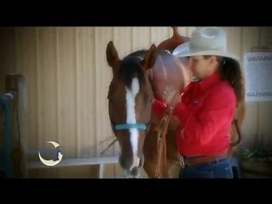 Does your horse ever raise his head or challenge you when you put on the bridle? Share your story! When you bridle your horse, you need to maintain control while slipping the bit inside his mouth, pulling the crownpiece behind his ears, and securing the throatlatch. It sounds straightforward, but if you bump your horse's teeth with the bit, mishandle his sensitive ears, or make the wrong move, he can become head-shy and hard to bridle in the future. Here are some tips to bridle your horse withou