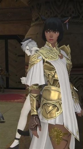 Eyebrow Cat of Legend | #ff14 #ffxiv #ffxivglamour #ffxivcommunity #FinalFantasyXIV