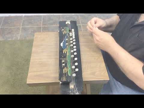 An Introduction to the Taishogoto (a composer's-eye view)