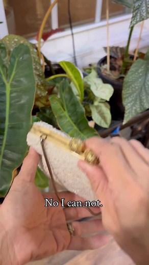 5.7K views · 28 reactions | Happy Tuesday! Did you know one of our...