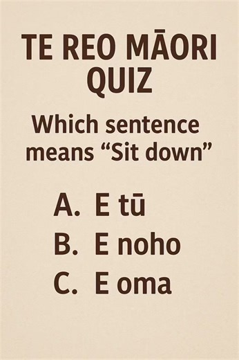 🌿Te Reo Māori Quiz Today's challenge 👇 which of these sentences means “Sit down” A) E tū B) E noho C) E oma Drop your answer in the comments ⬇️ A,B or C🤔 Kia kaha, keep up the mahi, every step forward grows your reo! 🌿🗣️ #TeReoMāori #MāoriLanguage #KōreroMāori #ReoChallenge #AkoMāori | Rangi's Reo