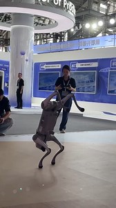 14 reactions | Watch a #robot dog dance and lead a real #dog on a walk at the 2024 Inclusion·Conference on The Bund! Who knew #tech and tails could sync so well? | Shanghai Let's meet | Facebook