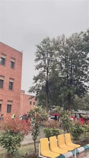 Enjoy the Tranquility of Rain in Islamabad