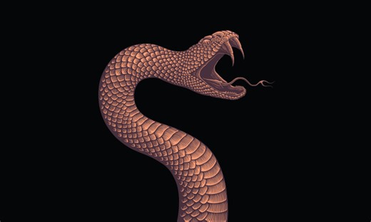 The Secrets of Deadly Snake Bites
