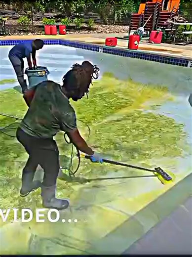 Lawn Magic ✨ on TikTok