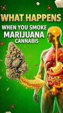 What Happens When You Smoke Marijuana ?