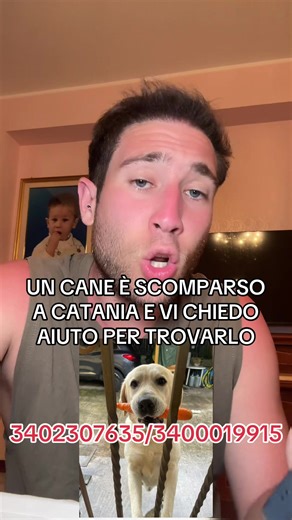 Chucky è scappato da casa giorno 7 aprile ore 21 circa da Poggio lupo,frazione di Misterbianco Catania. Quella sera,a quell'ora, viene visto da una ragazza in una traversa vicino,scatta delle foto ma non si assicura che il cane sia di qualcuno della zona. Va via e lo lascia lì. Solo l'indomani apprende dai social che si sono perse le tracce di Chucky, Ormai è tardi, Chucky comincia a camminare e si allontana molto, la famiglia si accorge della sua assenza verso le 21:30,si precipita fuori a cerc