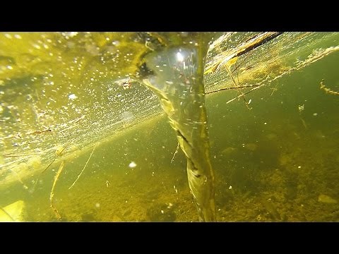 Underwater Tornado - Whirlpool