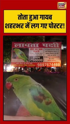 Viral Video: तोता हुआ गायब, शहरभर में लग गए पोस्टर! #shorts #viralnews #viralvideo
