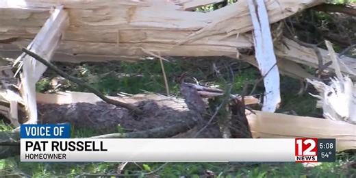Northeastern Pennsylvania tree split down the middle by a lightning strike