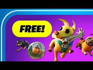 How to Get FREE PETS in Fortnite! (Sidekicks, Everything NEW, Updates)