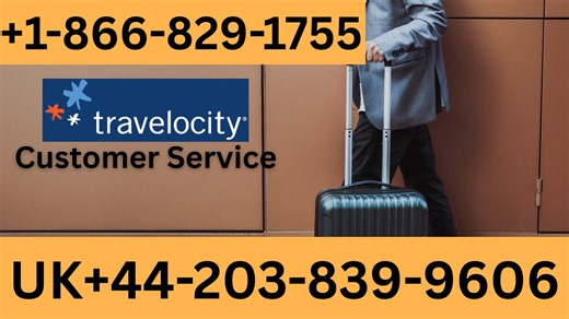 The Complete Guide To Contacting Travelocity— By Phone, Chat, Email, Or App