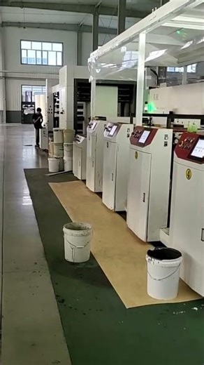 donghang Petal Type Kraft Paper Bag/paper cup Flexo Printing Machine