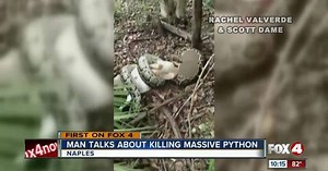It took 8 shots to kill a python