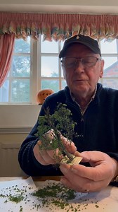 So to another way of flocking the trees we’ve mad from shrubs. They make good modem size trees and I hope your still following me please share this post Thank you | Railnuts