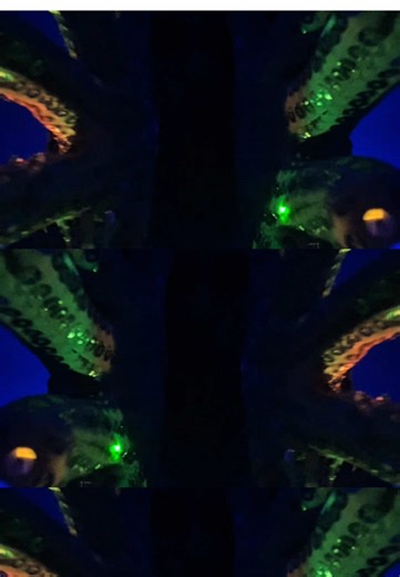 ASMR brain massage (echo)#asmr#visualeffects#tickles#echo#relax TikTok