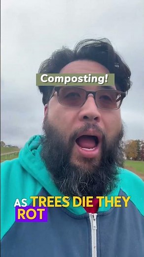 🌳 Why tree-holes matter