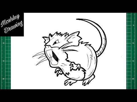 How to Draw Raticate - Pokemon