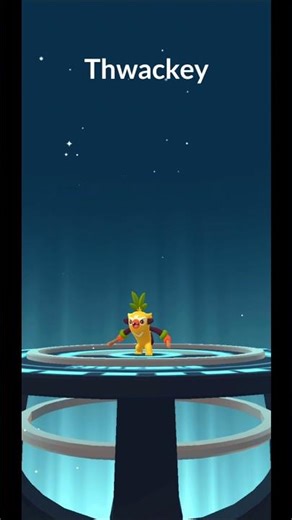Should I Evolve This SHINY Grookey? Shiny Thwackey | Pokemon GO #Shorts