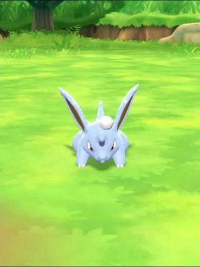 Nidorino Shiny Pokemon Let's Go, Eevee! #pokemon #nintendo #shiny