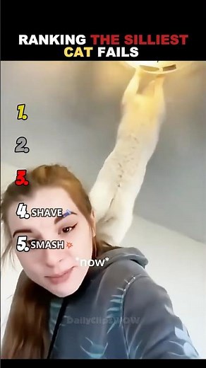 Ranking the SILLIEST Cat Fails🐱