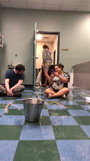 penguin encounter at the St Louis Zoo 10/10 .. pls ignore my voice🥲 #penguin #stlouis #stlouiszoo