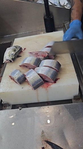 Most Popular Ribbon Fish Cutting Skills #fbreelsfypシ゚viralfbreelsfypシ゚viral #reelsvideo #foryou #shorts | SH Fresh & Fish