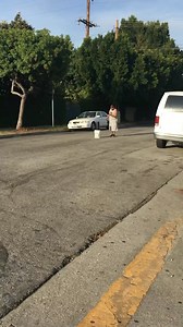 5 inch ball shell | Blue Sky