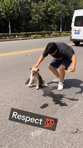 I’M CRYING RN 😭 (📸: mylife_9399) #tagstagram #dog #dogs #dogsofinstagram #dogoftheday #dogstagram #dogsofinstaworld #dogs_of_instagram #doglover #doge #doggy #doglovers #dogs_of_world #doggie #doggo #dogsofinsta #instadog #dogsandpals #mansbestfriend #doggie | UrgentNews911