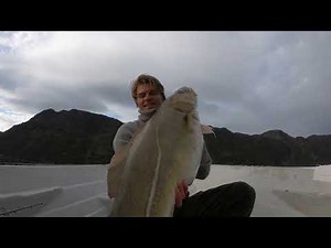 Fishing Halibut and Cod in Norway (Øksfjord, Finnmark)