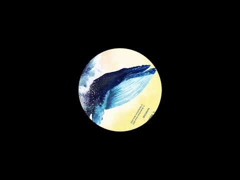 Zeynep Erbay - Healer Whale (Marshall Watson Remix)