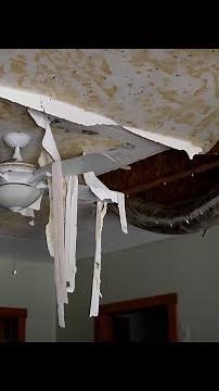 What does home insurance cover after a hurricane? It depends | USA TODAY