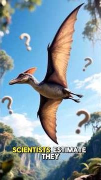 The Pterodactyl