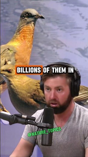 The Debate on De-Extinction: Is Bringing Back Extinct Animals Worth It? Joe Rogan & Forrest Galante